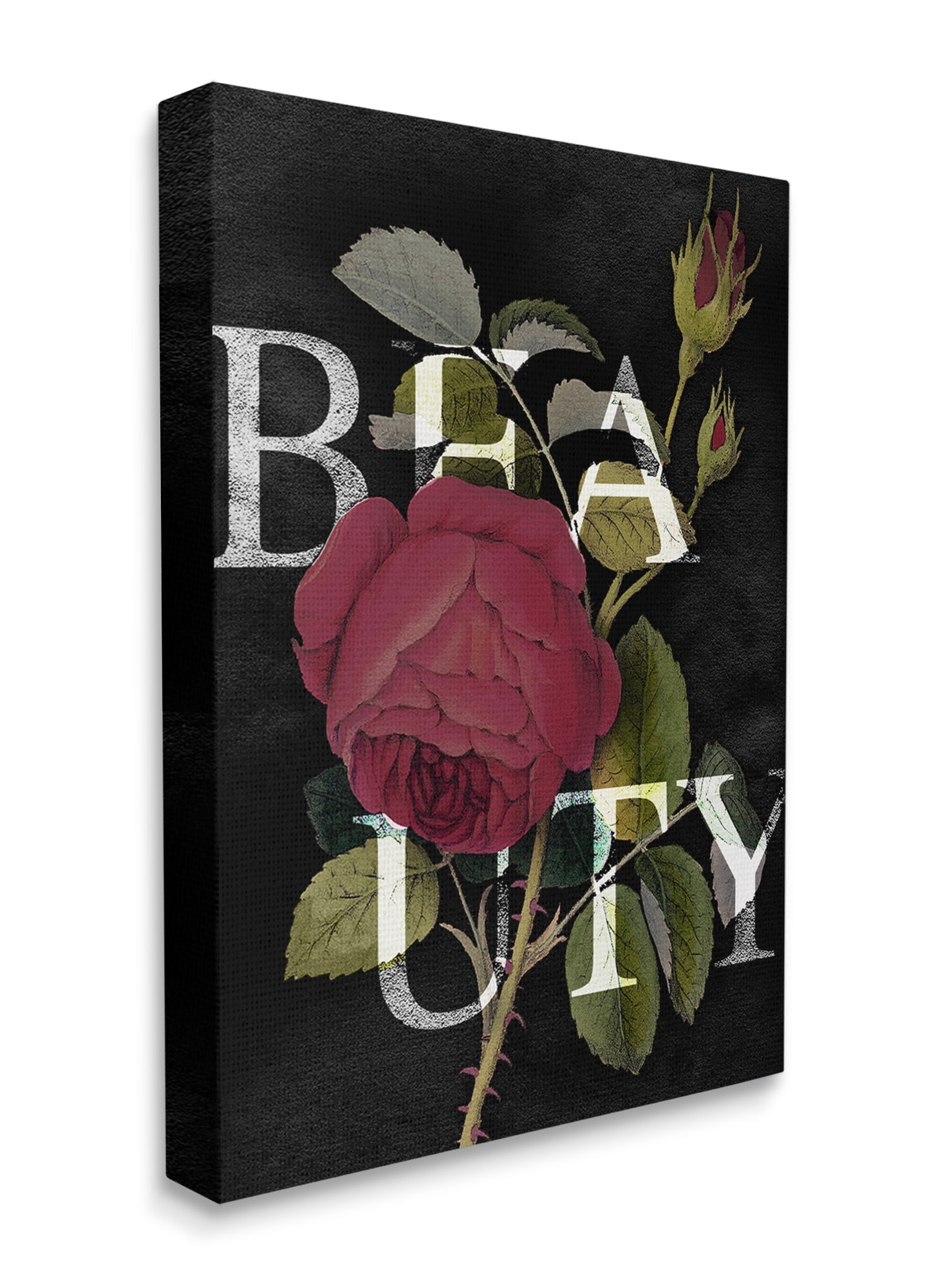 Stupell Industries Beauty Text over Vintage Red Thorned Rose Canvas Wall Art, 24 x 30, Design by Daphne Polselli
