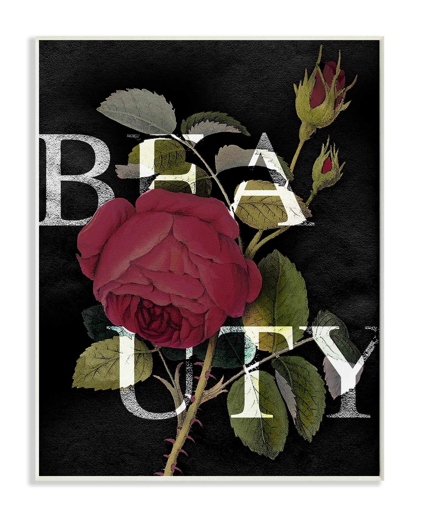 Stupell Industries Beauty Text over Vintage Red Thorned Rose Wall Plaque, 10 x 15, Design by Daphne Polselli