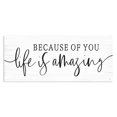 thumbnail image 1 of Stupell Industries Farmhouse Because Of You Life Is Amazing Canvas Art, 30 x 13, by Lux + Me Designs, 1 of 8