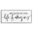 thumbnail image 1 of Stupell Industries Farmhouse Because Of You Life Is Amazing Gray Framed Giclee Art, 30 x 13, by Lux + Me Designs, 1 of 8