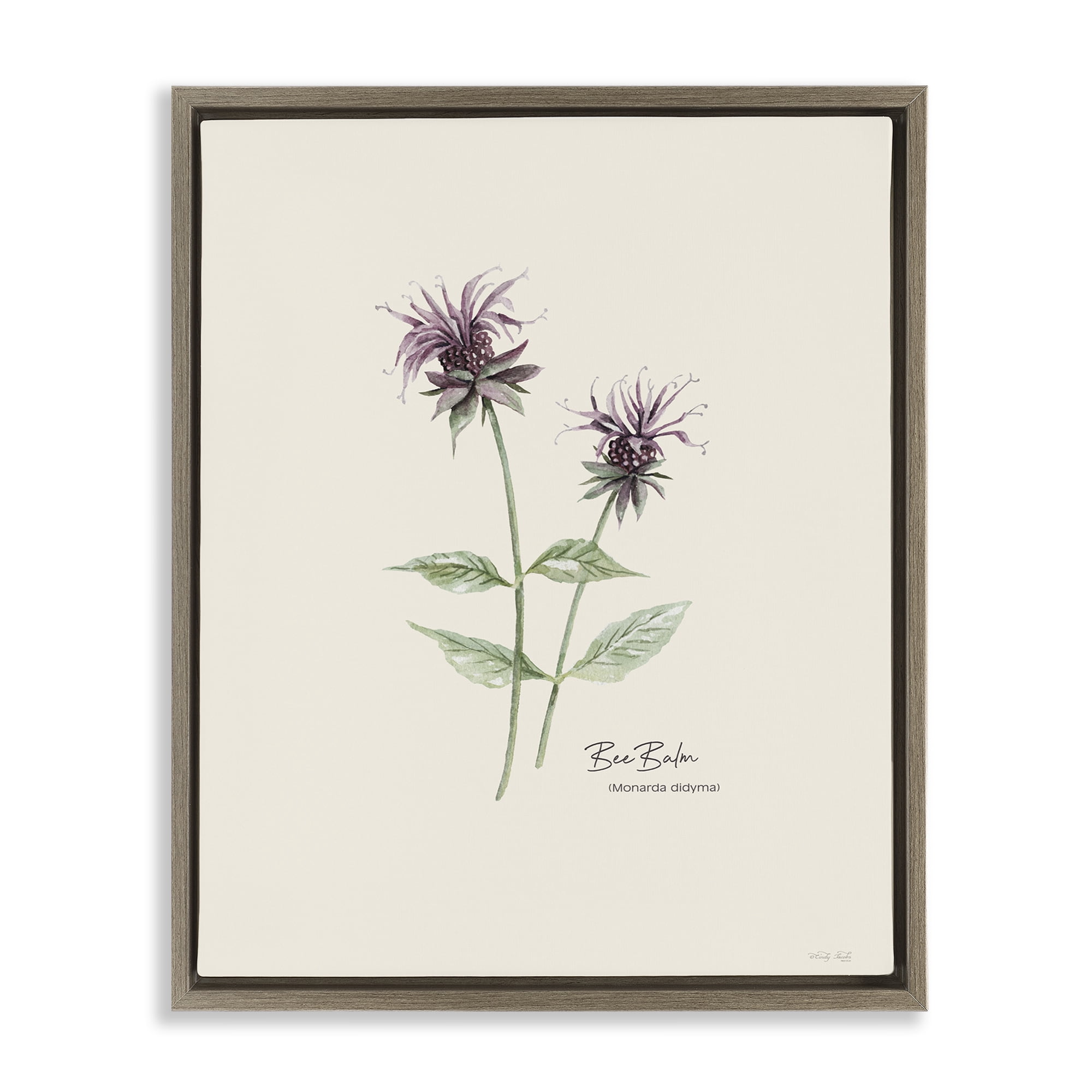 Stupell Industries Bee Balm Herb Botanical & Floral Painting Brown Floater Framed Art Print Wall Art, 25 x 31