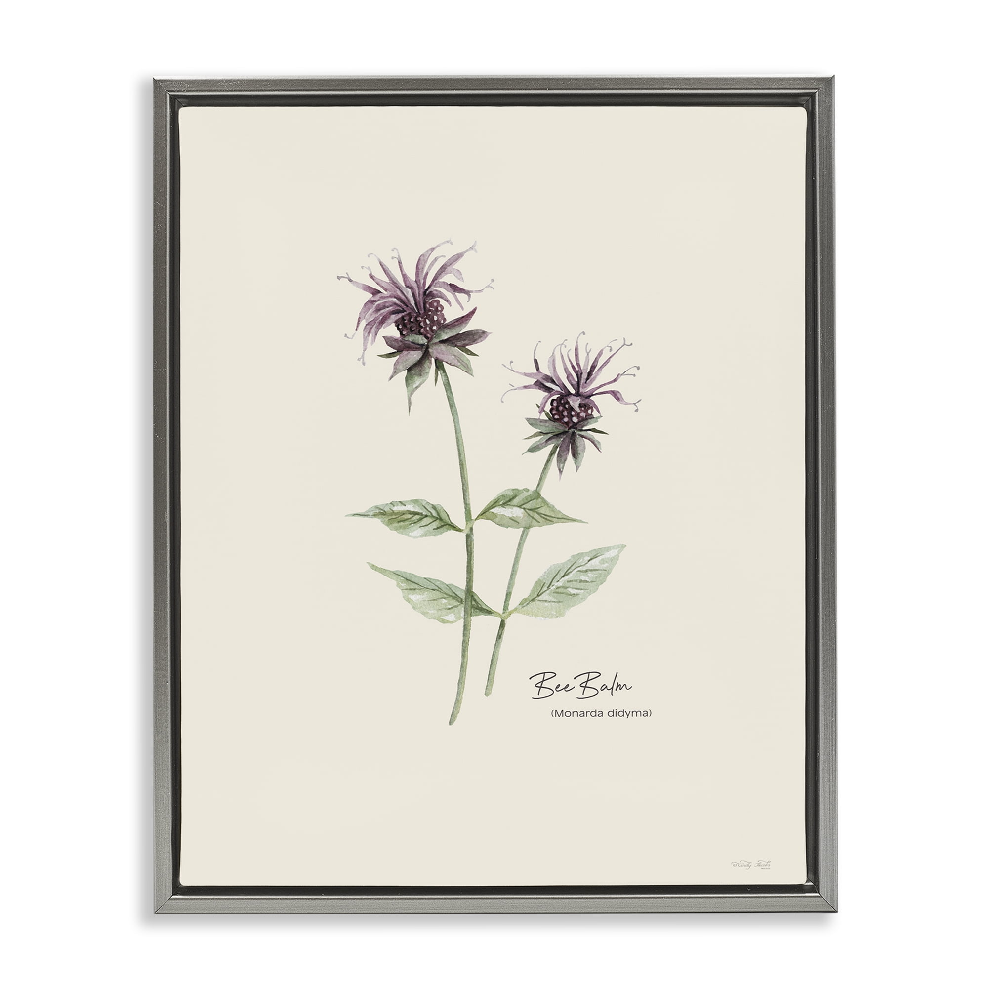 Stupell Industries Bee Balm Herb Botanical & Floral Painting Gray Floater Framed Art Print Wall Art, 17 x 21