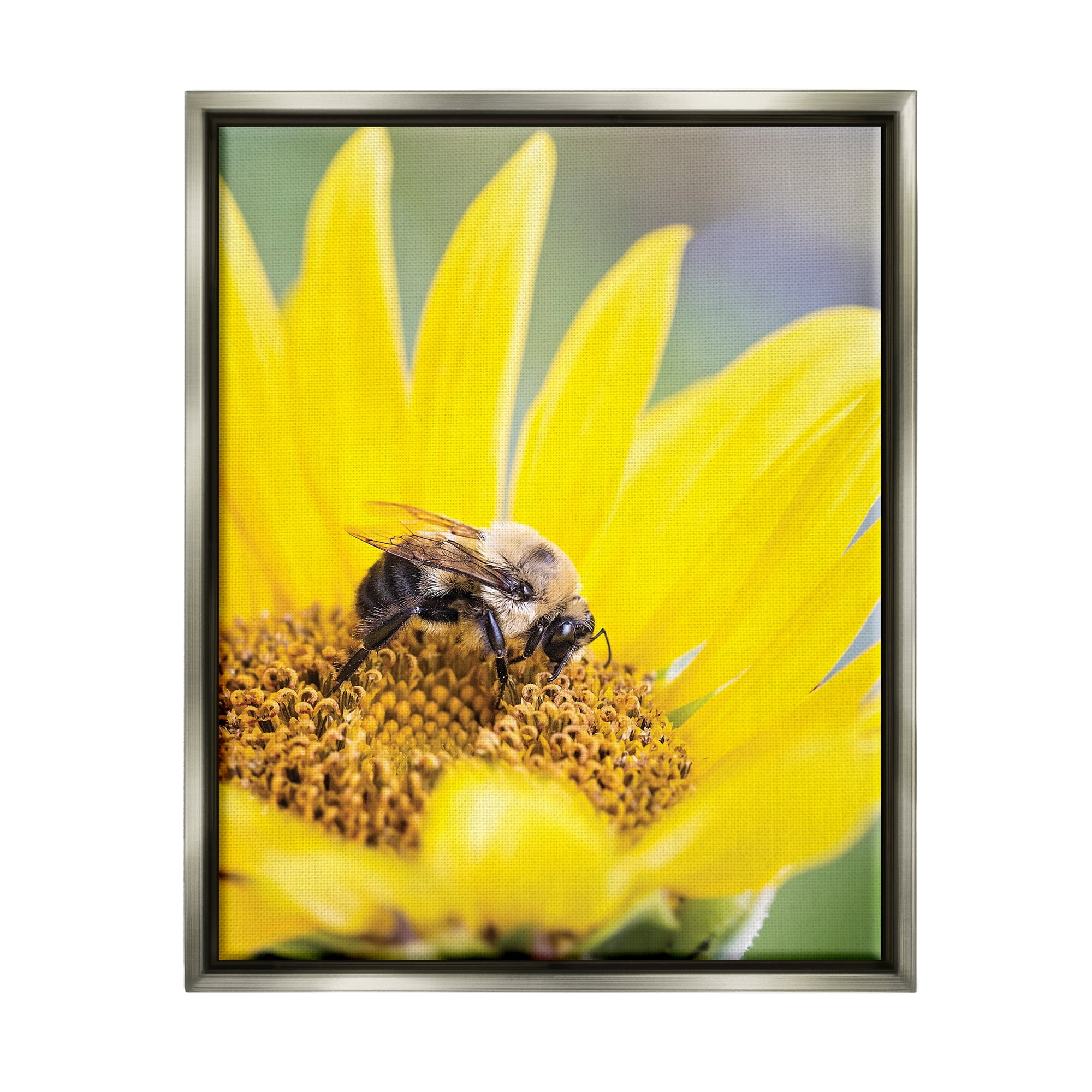Stupell Industries Bee & Sunflower Photography Animals & Insects Photography Gray Floater Framed Art Print Wall Art, 17 x 21