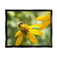 thumbnail image 1 of Stupell Industries Bee on Daisy Photography Botanical & Floral Photography Black Floater Framed Canvas Art Print Wall Art, 21 x 17, 1 of 10