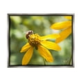 thumbnail image 1 of Stupell Industries Bee on Daisy Photography Botanical & Floral Photography Gray Floater Framed Canvas Art Print Wall Art, 31 x 25, 1 of 10