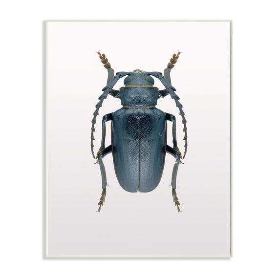 Stupell Industries Beetle Blue Yellow Animal Photograph Graphic Art Unframed Art Print Wall Art, 10x15, by Design Fabrikken