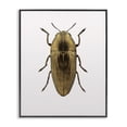thumbnail image 1 of Stupell Industries Contemporary Beetle Gold Animal Photograph Black Framed Giclee Art, 24 x 30, by Design Fabrikken, 1 of 7