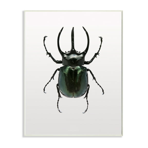 Stupell Industries Beetle Horned Black Green Animal Photograph Graphic Art Unframed Art Print Wall Art, 13x19, by Design Fabrikken