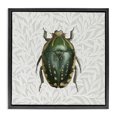 thumbnail image 1 of Stupell Industries Transitional Beetle with Botanical Pattern Black Floating Frame Canvas Art, 18 x 18, by Danhui Nai, 1 of 8