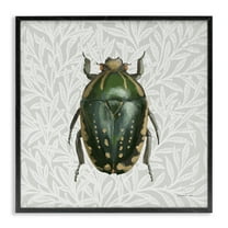 Stupell Industries Beetle with Botanical Pattern Animals & Insects Painting Black Framed Art Print Wall Art, 12 x 12