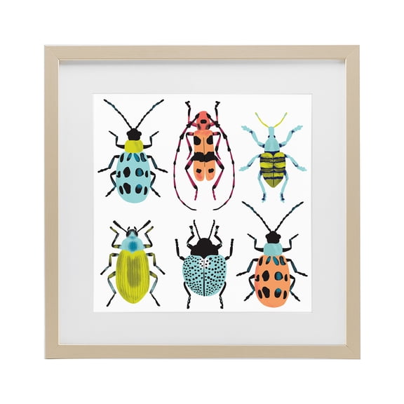Stupell Industries Beetles & Bugs Collection Birch Framed Print Under Glass, design by Metka Hiti