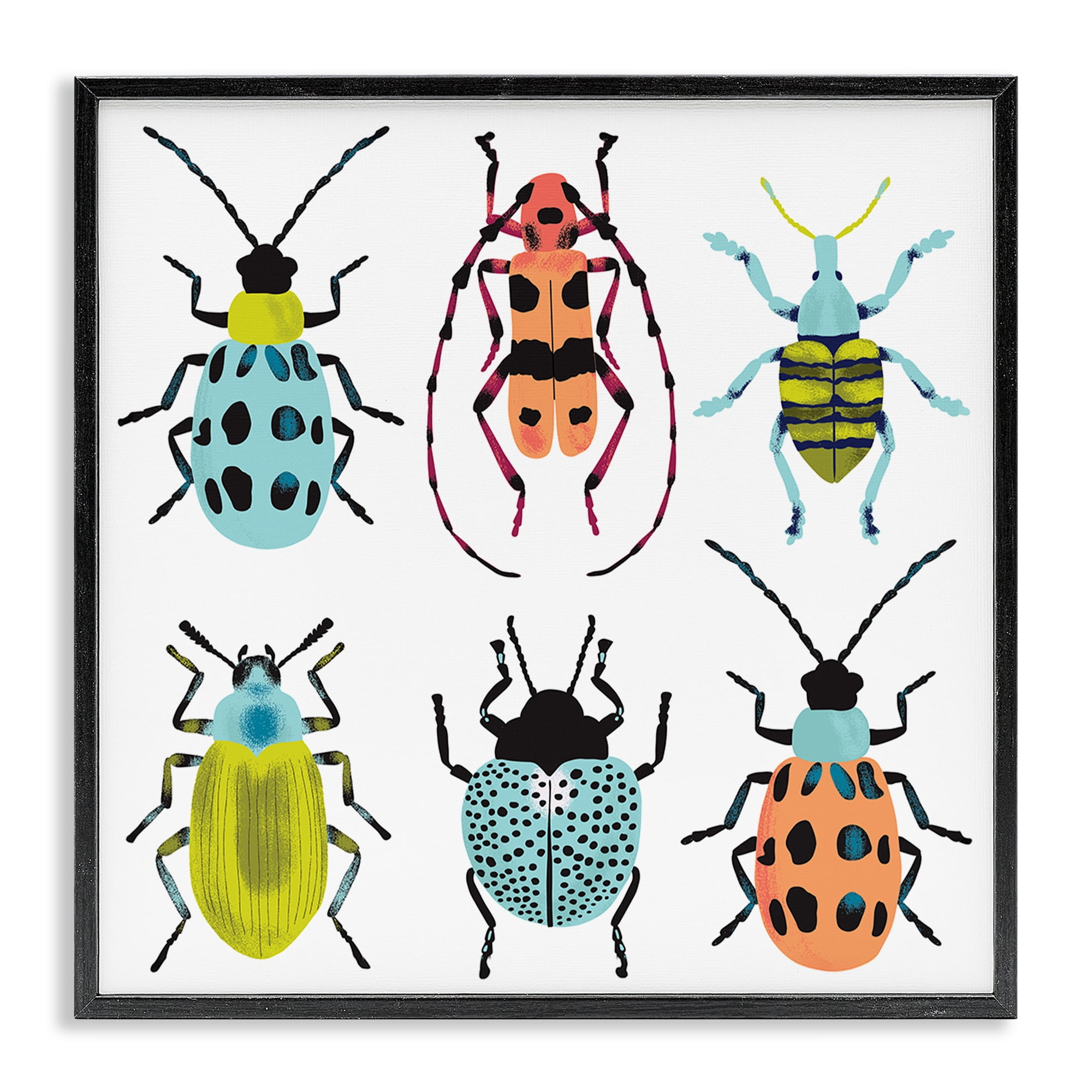 Stupell Industries Beetles & Bugs Collection Black Framed Giclee Art, design by Metka Hiti