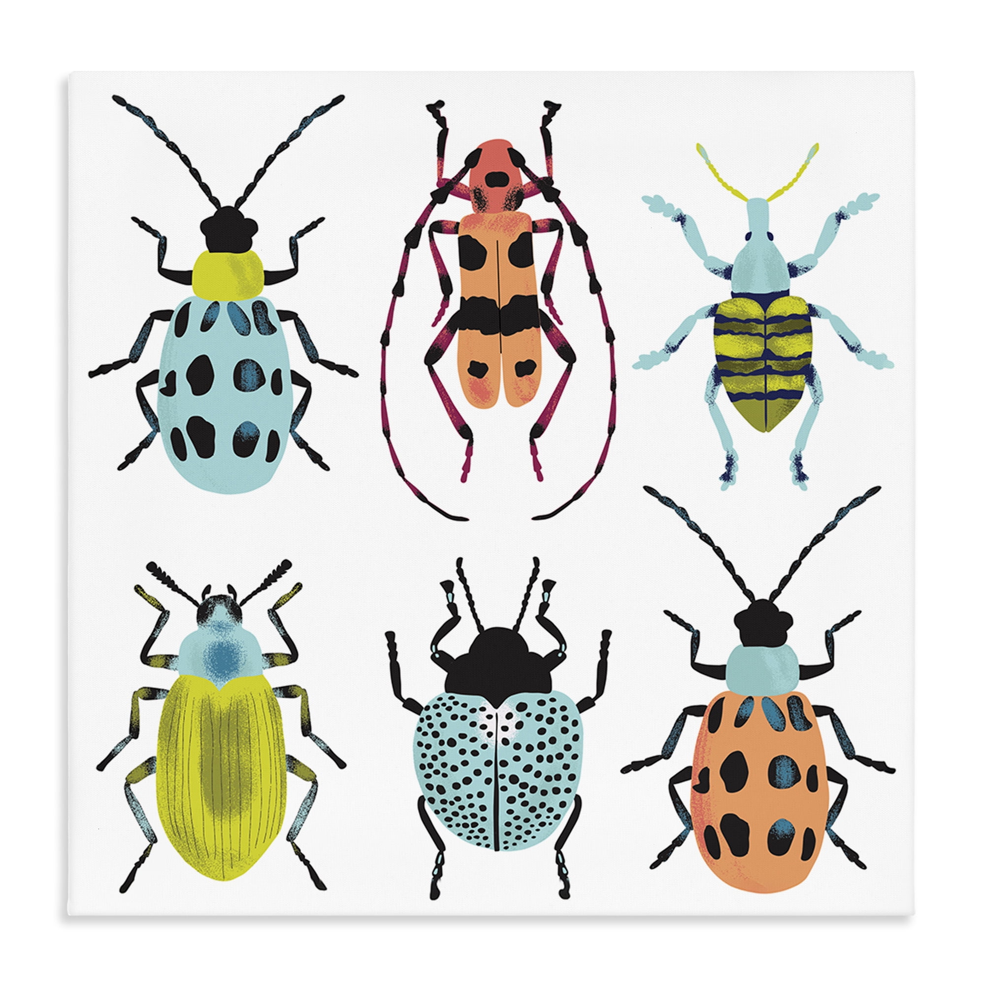 Stupell Industries Beetles & Bugs Collection Canvas Wall Art, design by Metka Hiti