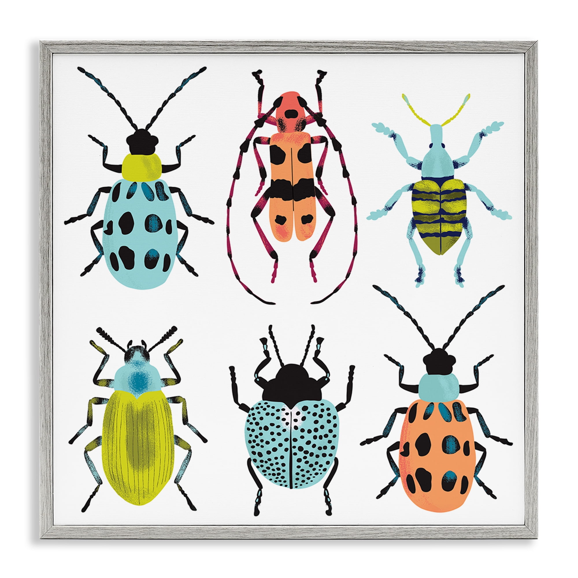 Stupell Industries Beetles & Bugs Collection Gray Framed Giclee Art, design by Metka Hiti