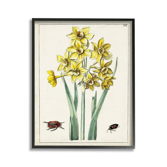 Stupell Industries Beetles with Daffodils Botanical & Floral Painting Black Framed Art Print Wall Art, 11 x 14