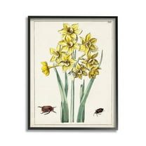 Stupell Industries Beetles with Daffodils Botanical & Floral Painting Black Framed Art Print Wall Art, 11 x 14