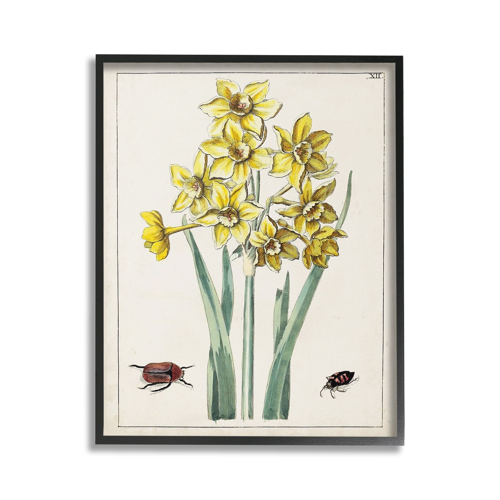Stupell Industries Beetles with Daffodils Botanical & Floral Painting Black Framed Art Print Wall Art, 24 x 30