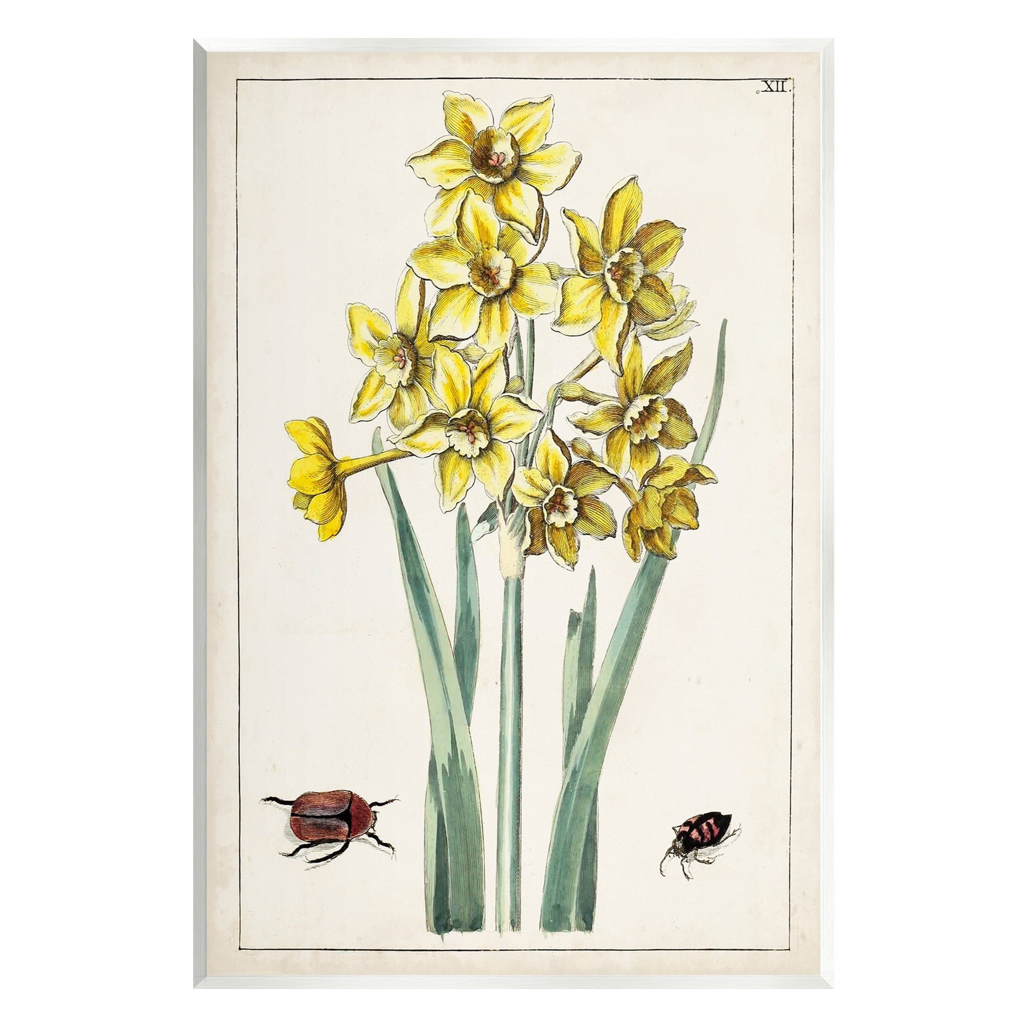 Stupell Industries Beetles with Daffodils Botanical & Floral Painting Unframed Art Print Wall Art, 10 x 15