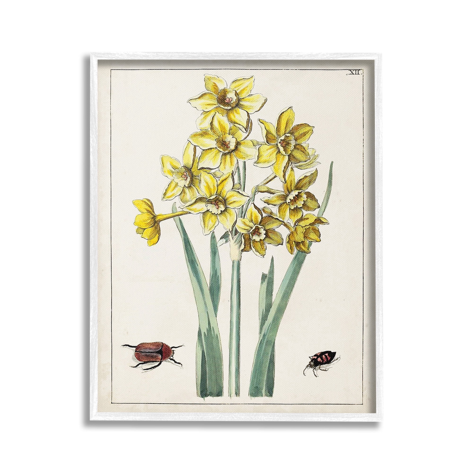 Stupell Industries Beetles with Daffodils Botanical & Floral Painting White Framed Art Print Wall Art, 24 x 30