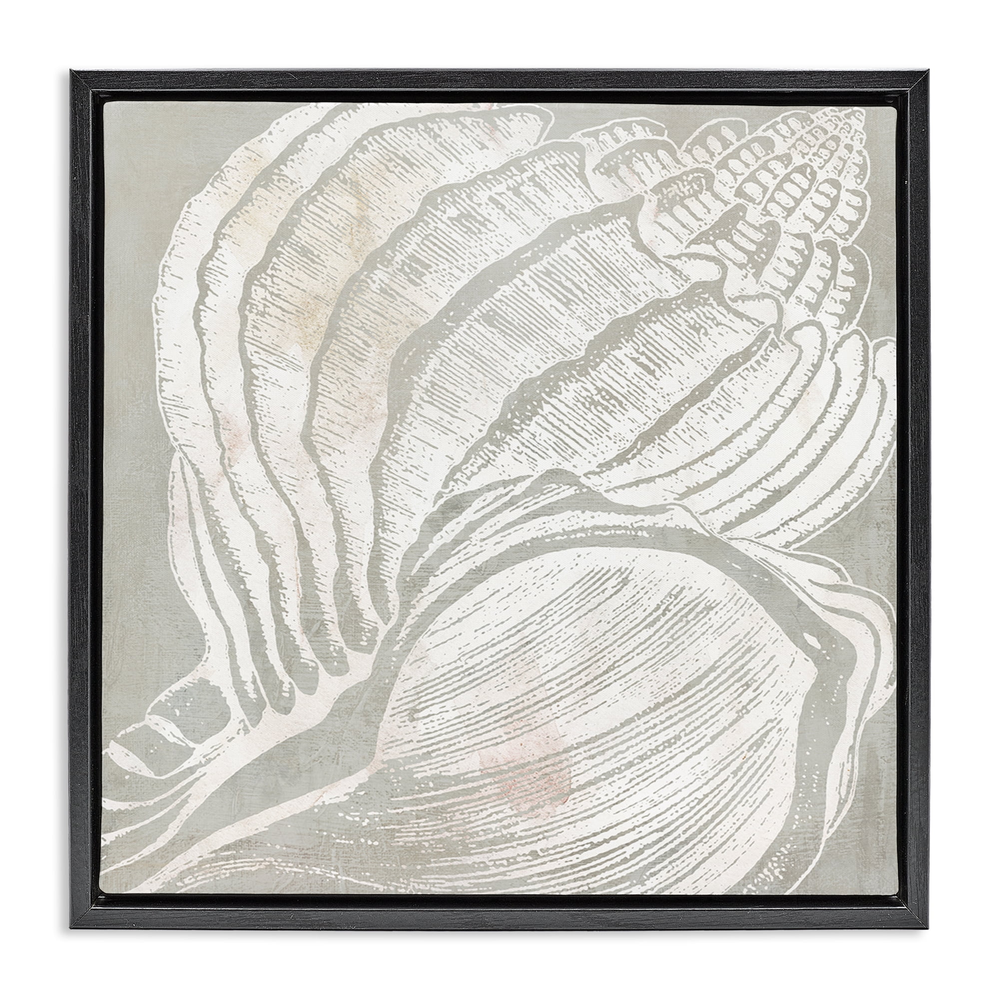 Stupell Industries Beige Conch Pattern Nautical & Beach Painting Black Floater Framed Canvas Art Print Wall Art, 18 x 18