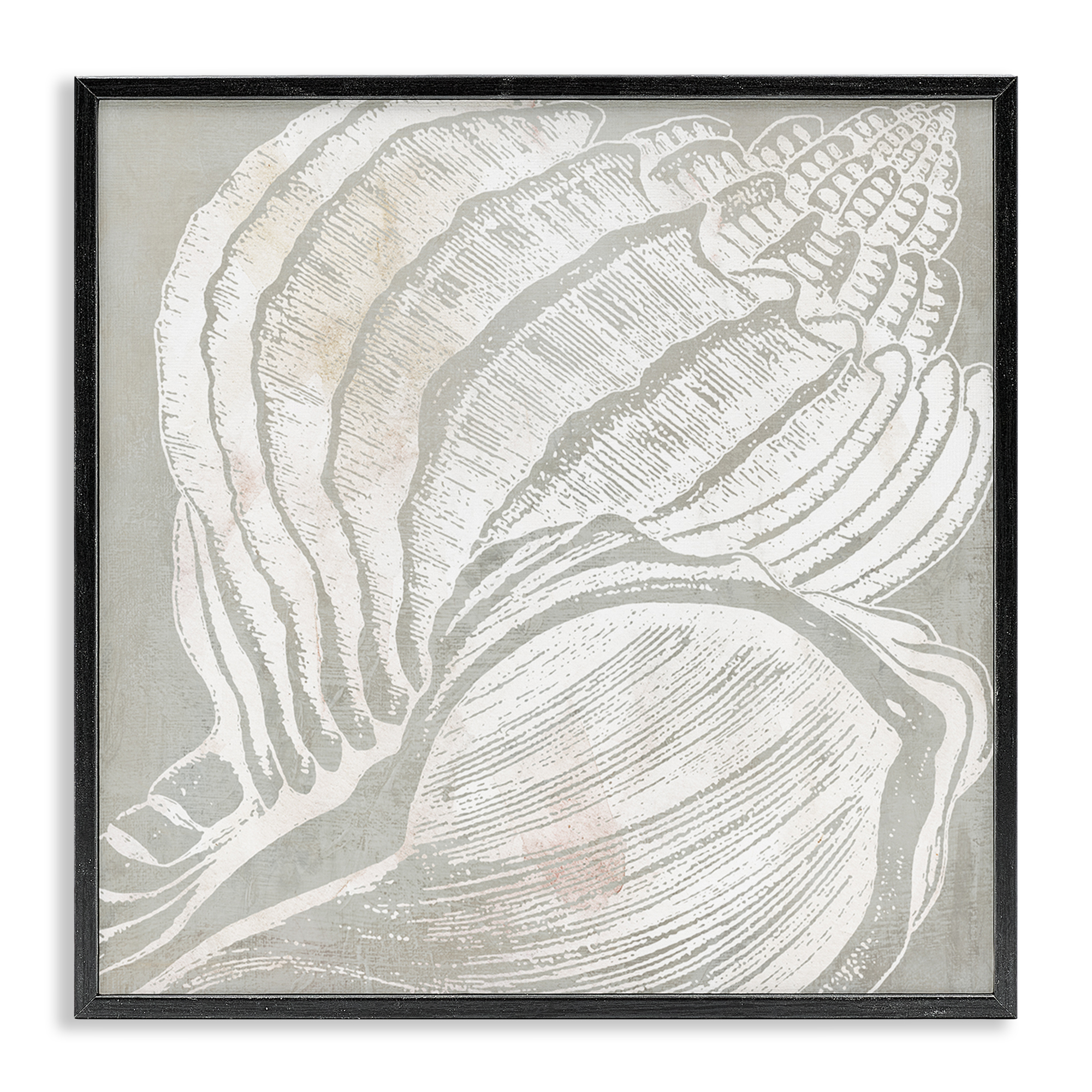 Stupell Industries Beige Conch Pattern Nautical & Beach Painting Black Framed Art Print Wall Art, 12 x 12