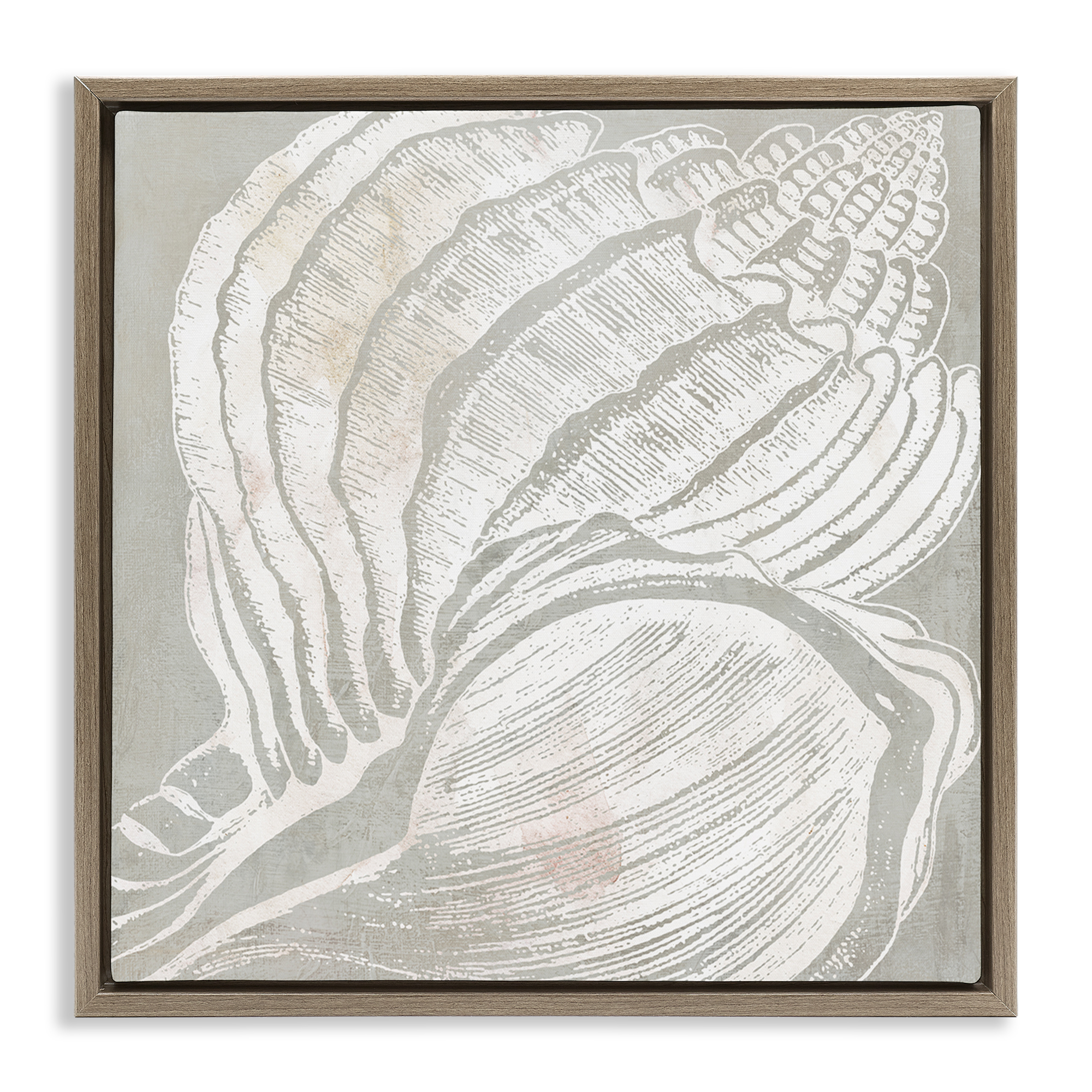 Stupell Industries Beige Conch Pattern Nautical & Beach Painting Brown Floater Framed Canvas Art Print Wall Art, 18 x 18