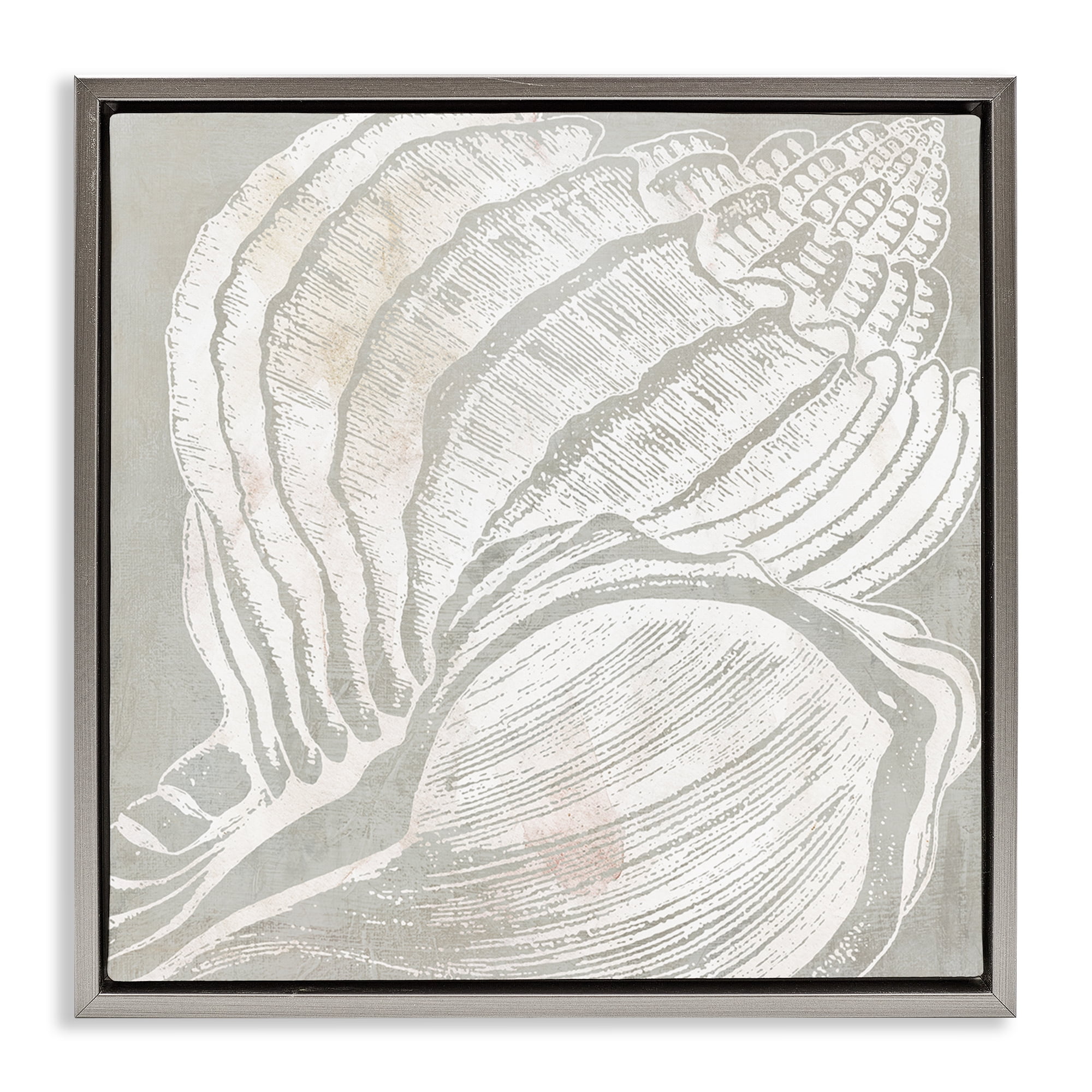 Stupell Industries Beige Conch Pattern Nautical & Beach Painting Gray Floater Framed Canvas Art Print Wall Art, 18 x 18