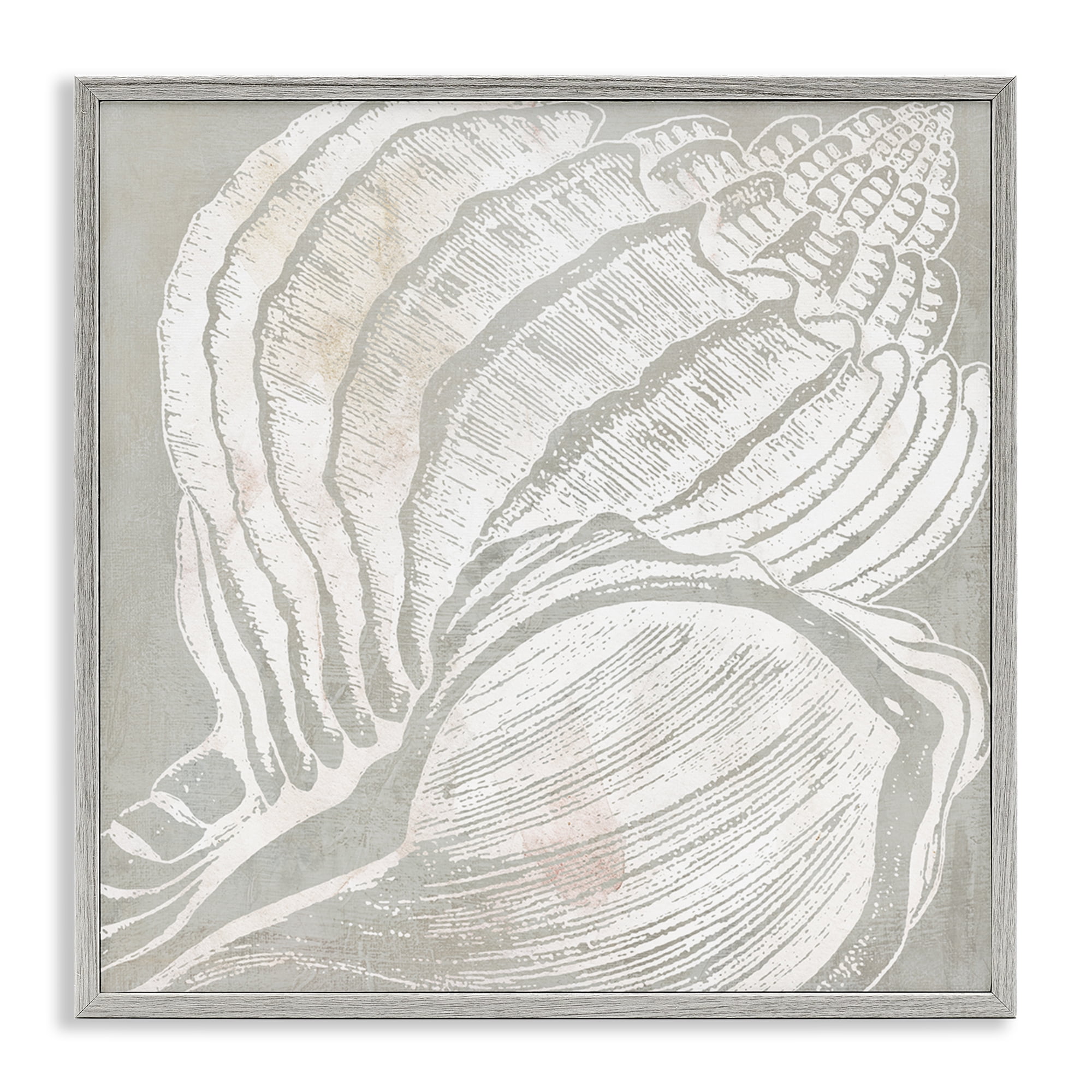 Stupell Industries Beige Conch Pattern Nautical & Beach Painting Gray Framed Art Print Wall Art, 24 x 24
