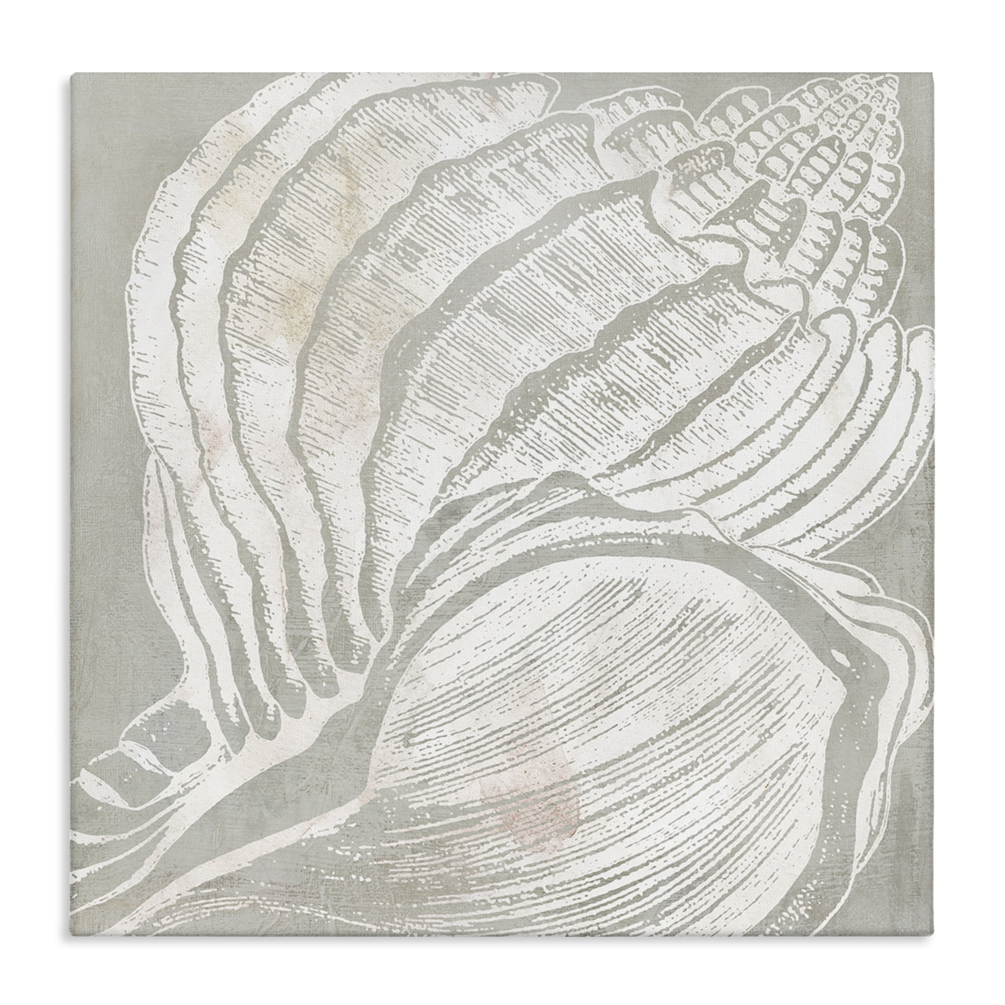 Stupell Industries Beige Conch Pattern Nautical & Beach Painting Wrapped Canvas Art Print Wall Art, 30 x 30