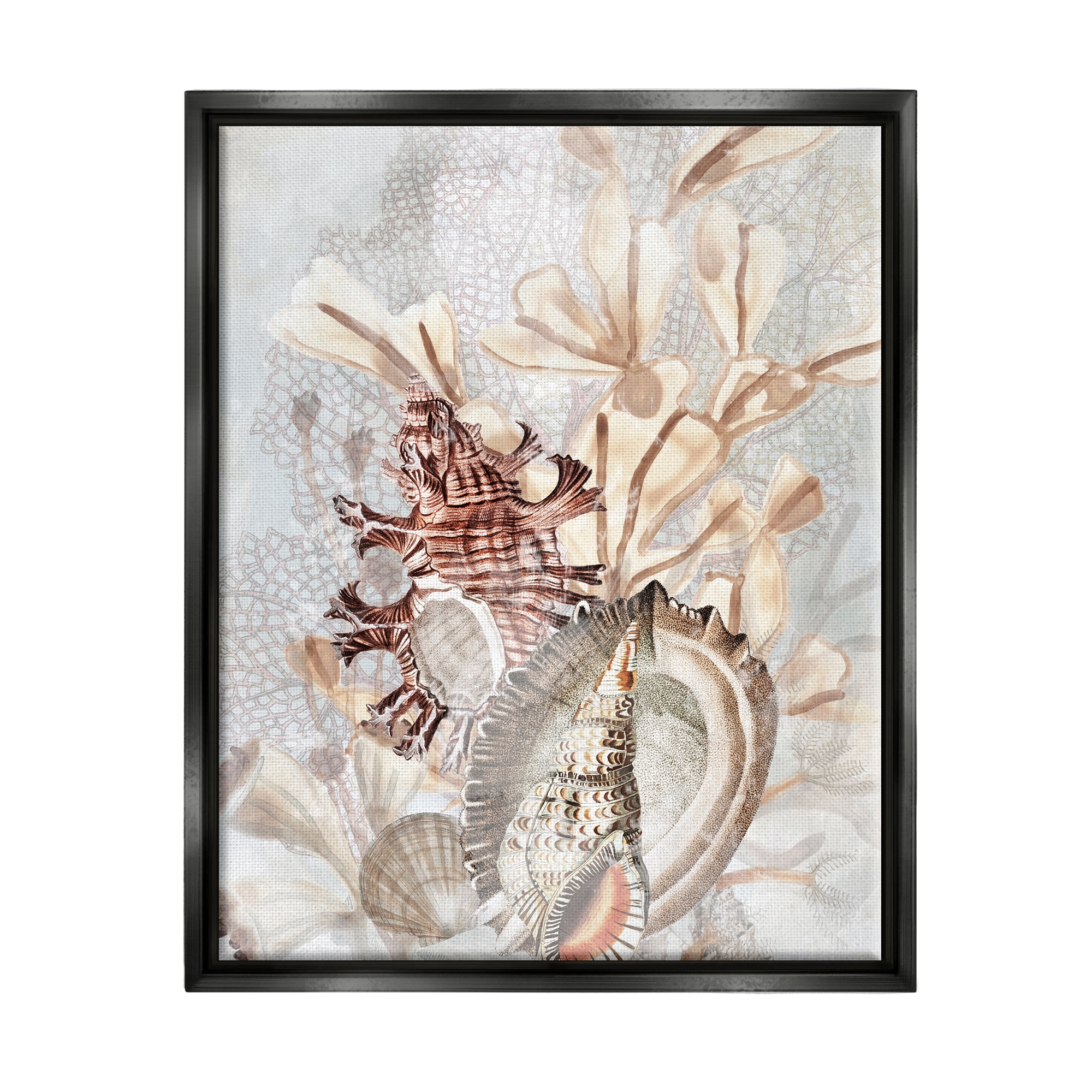 Stupell Industries Beige Mixed Seashells Animals & Insects Painting Black Floater Framed Canvas Art Print Wall Art, 25 x 31