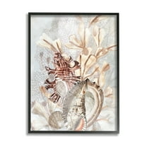 Stupell Industries Beige Mixed Seashells Animals & Insects Painting Black Framed Art Print Wall Art, 11 x 14