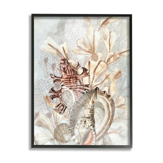 Stupell Industries Beige Mixed Seashells Animals & Insects Painting Black Framed Art Print Wall Art, 16 x 20