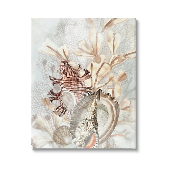 Stupell Industries Beige Mixed Seashells Animals & Insects Painting Gallery Wrapped Canvas Art Print Wall Art, 16 x 20