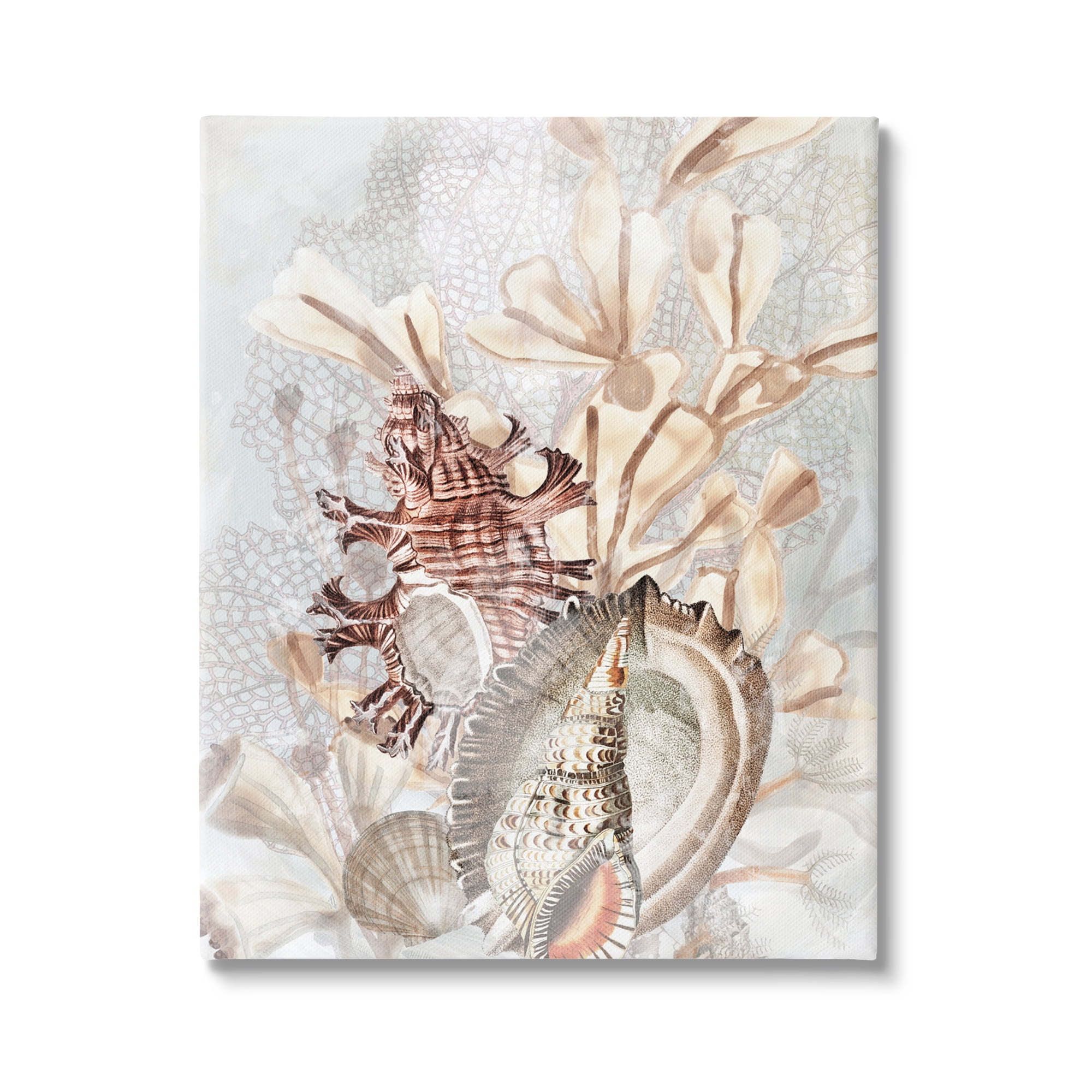 Stupell Industries Beige Mixed Seashells Animals & Insects Painting Gallery Wrapped Canvas Art Print Wall Art, 30 x 40