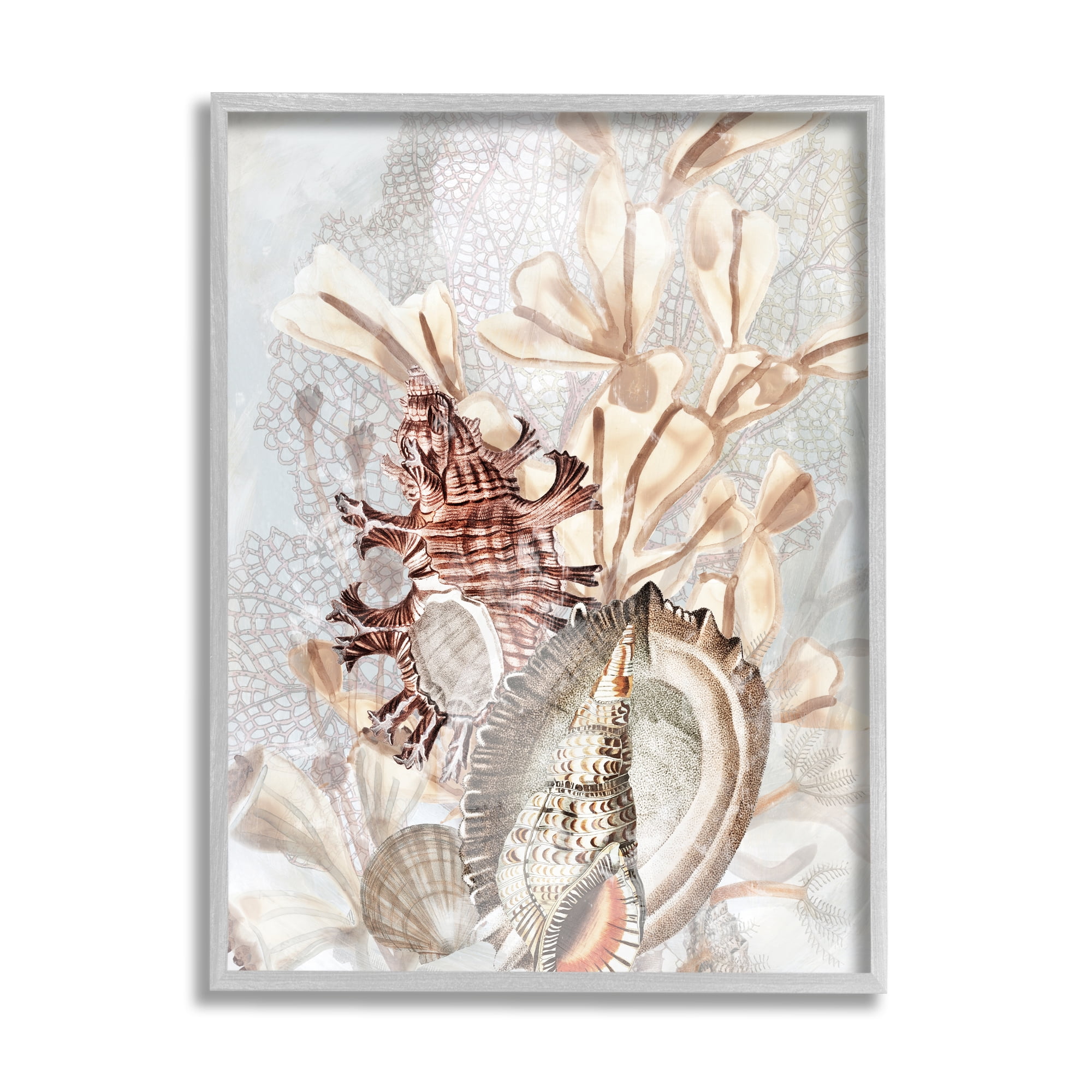 Stupell Industries Beige Mixed Seashells Animals & Insects Painting Gray Framed Art Print Wall Art, 16 x 20