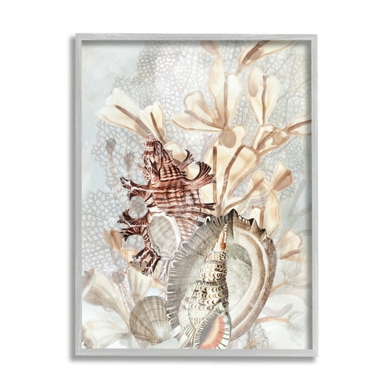 Stupell Industries Beige Mixed Seashells Animals & Insects Painting Gray Framed Art Print Wall Art, 24 x 30