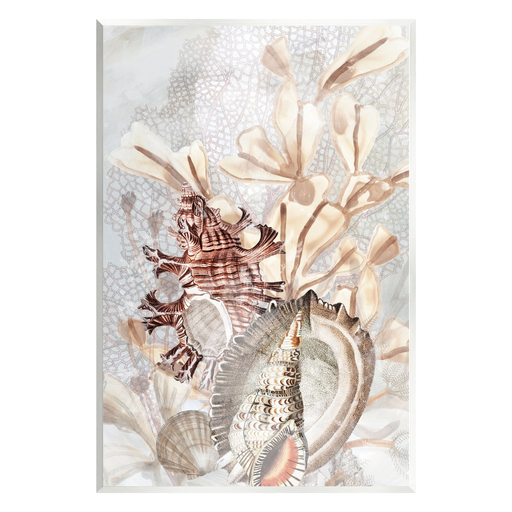 Stupell Industries Beige Mixed Seashells Animals & Insects Painting Unframed Art Print Wall Art, 10 x 15