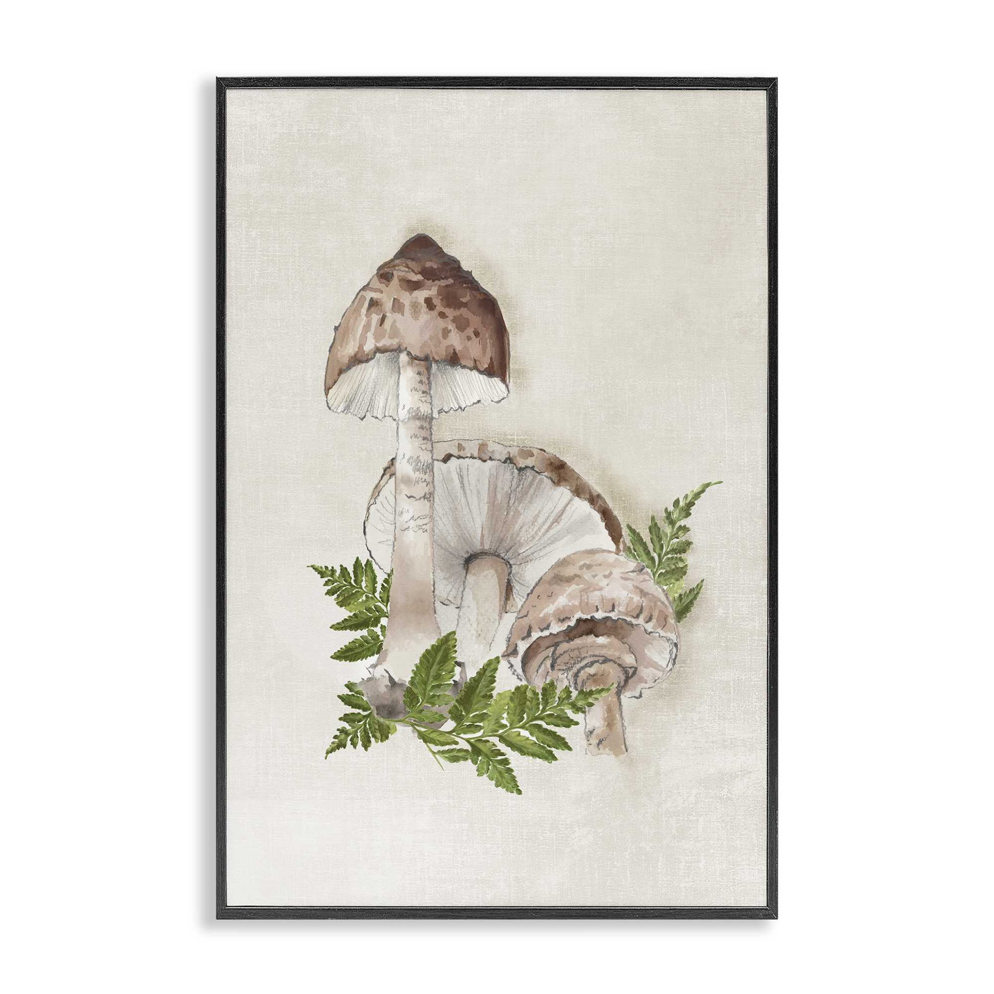 Stupell Industries Beige Mushrooms & Fern Plants & Flowers Painting Black Framed Art Print Wall Art, 16 x 24