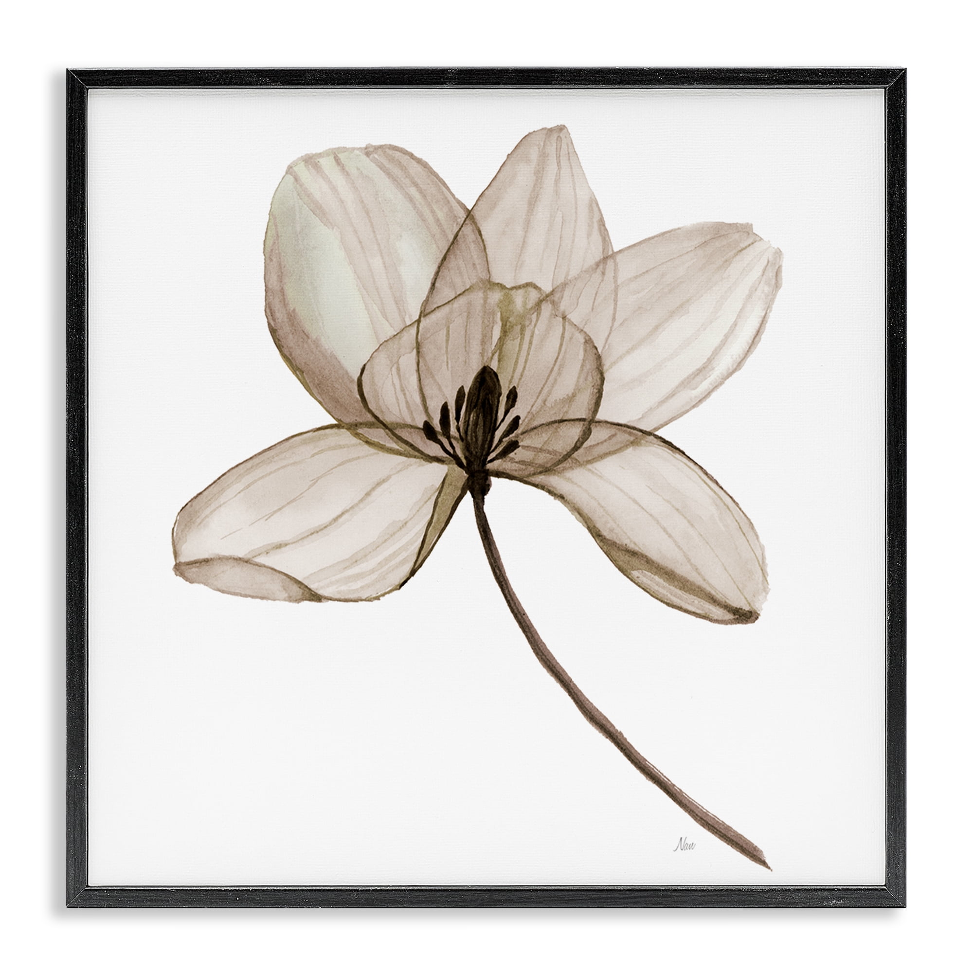Stupell Industries Beige Opaque Blossom Plants & Flowers Painting Black Framed Art Print Wall Art, 24 x 24