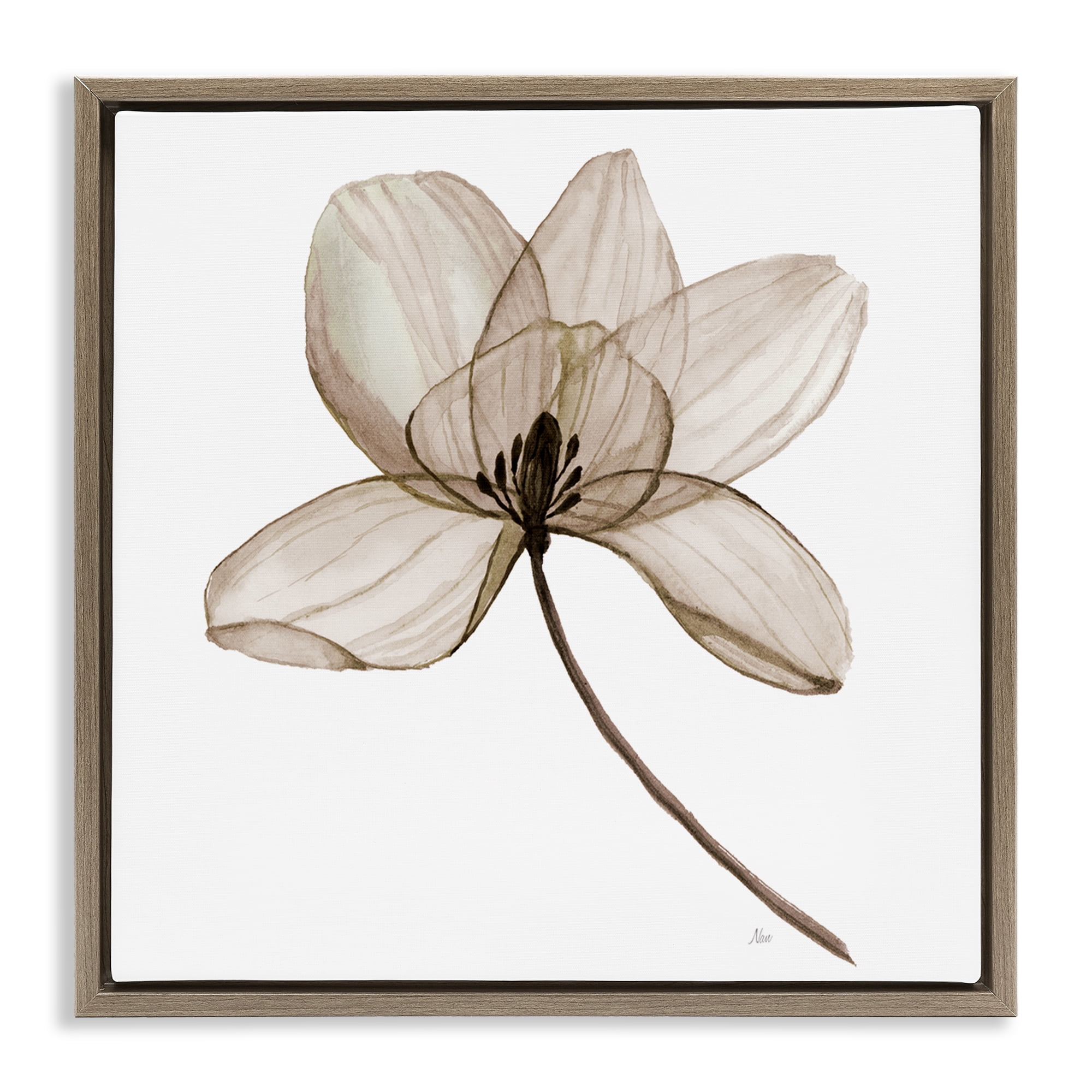 Stupell Industries Beige Opaque Blossom Plants & Flowers Painting Brown Floater Framed Canvas Art Print Wall Art, 25 x 25