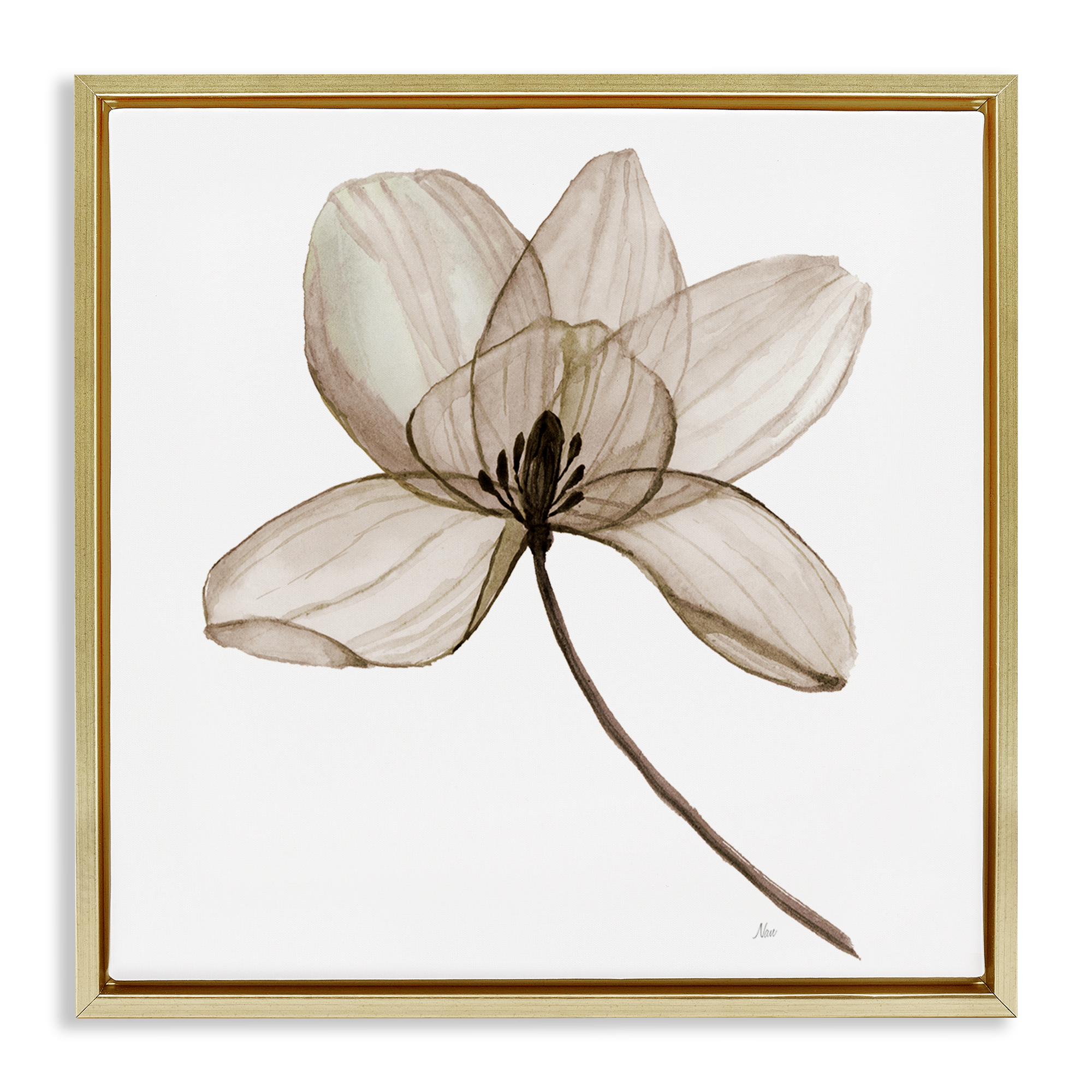 Stupell Industries Beige Opaque Blossom Plants & Flowers Painting Gold Floater Framed Canvas Art Print Wall Art, 18 x 18