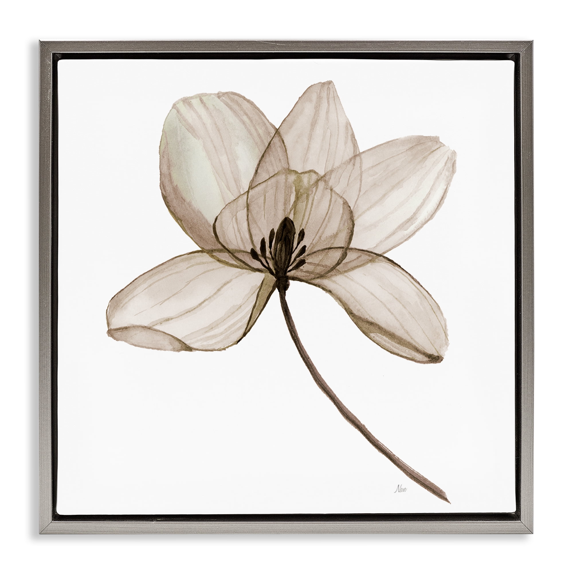 Stupell Industries Beige Opaque Blossom Plants & Flowers Painting Gray Floater Framed Canvas Art Print Wall Art, 18 x 18