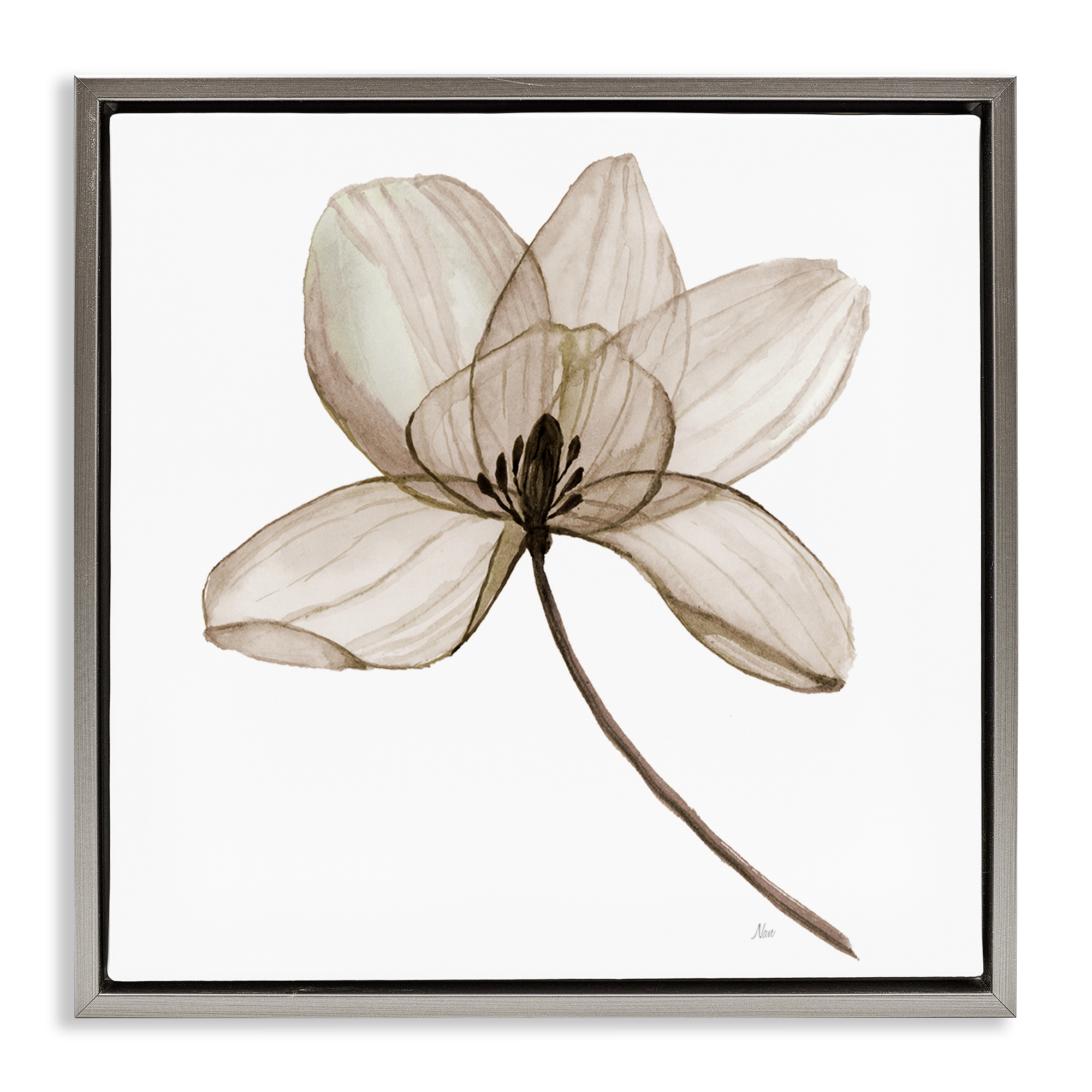 Stupell Industries Beige Opaque Blossom Plants & Flowers Painting Gray Floater Framed Canvas Art Print Wall Art, 25 x 25