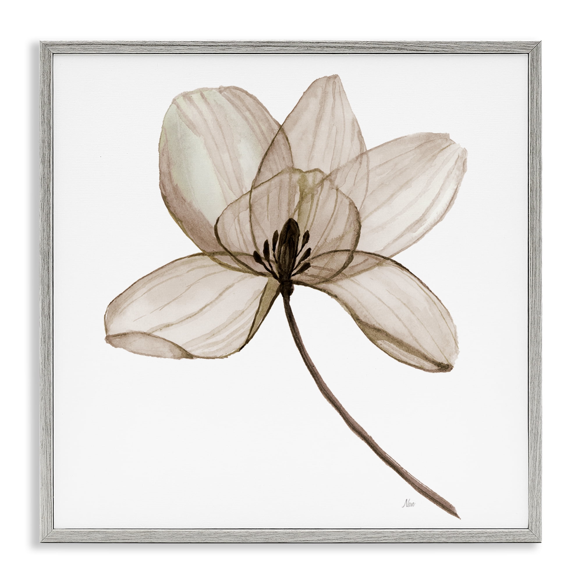 Stupell Industries Beige Opaque Blossom Plants & Flowers Painting Gray Framed Art Print Wall Art, 24 x 24