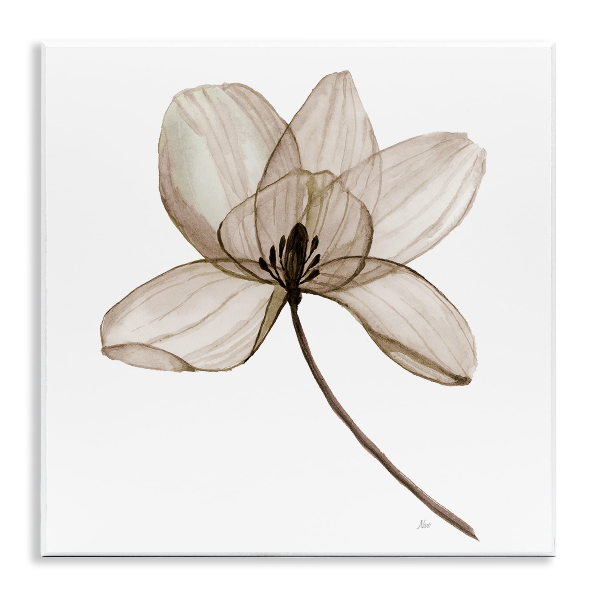 Stupell Industries Beige Opaque Blossom Plants & Flowers Painting Unframed Art Print Wall Art, 12 x 12