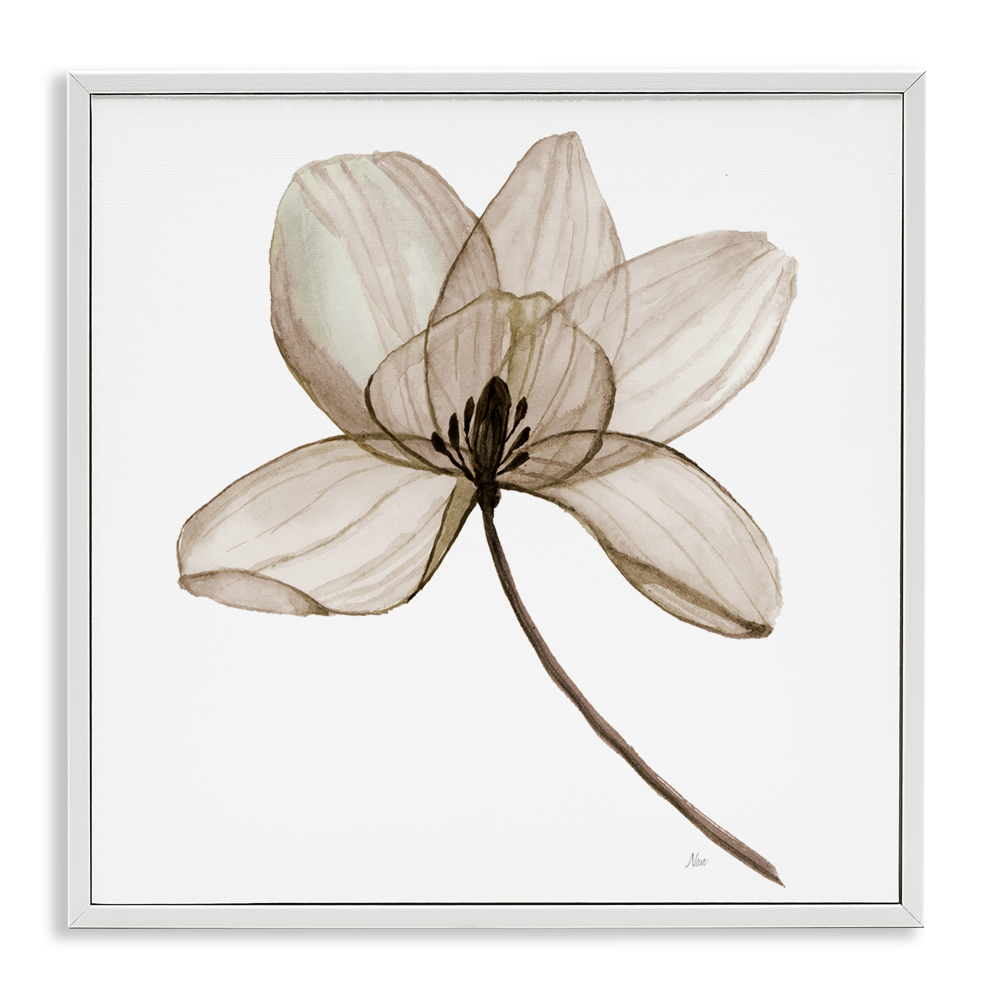 Stupell Industries Beige Opaque Blossom Plants & Flowers Painting White Framed Art Print Wall Art, 12 x 12