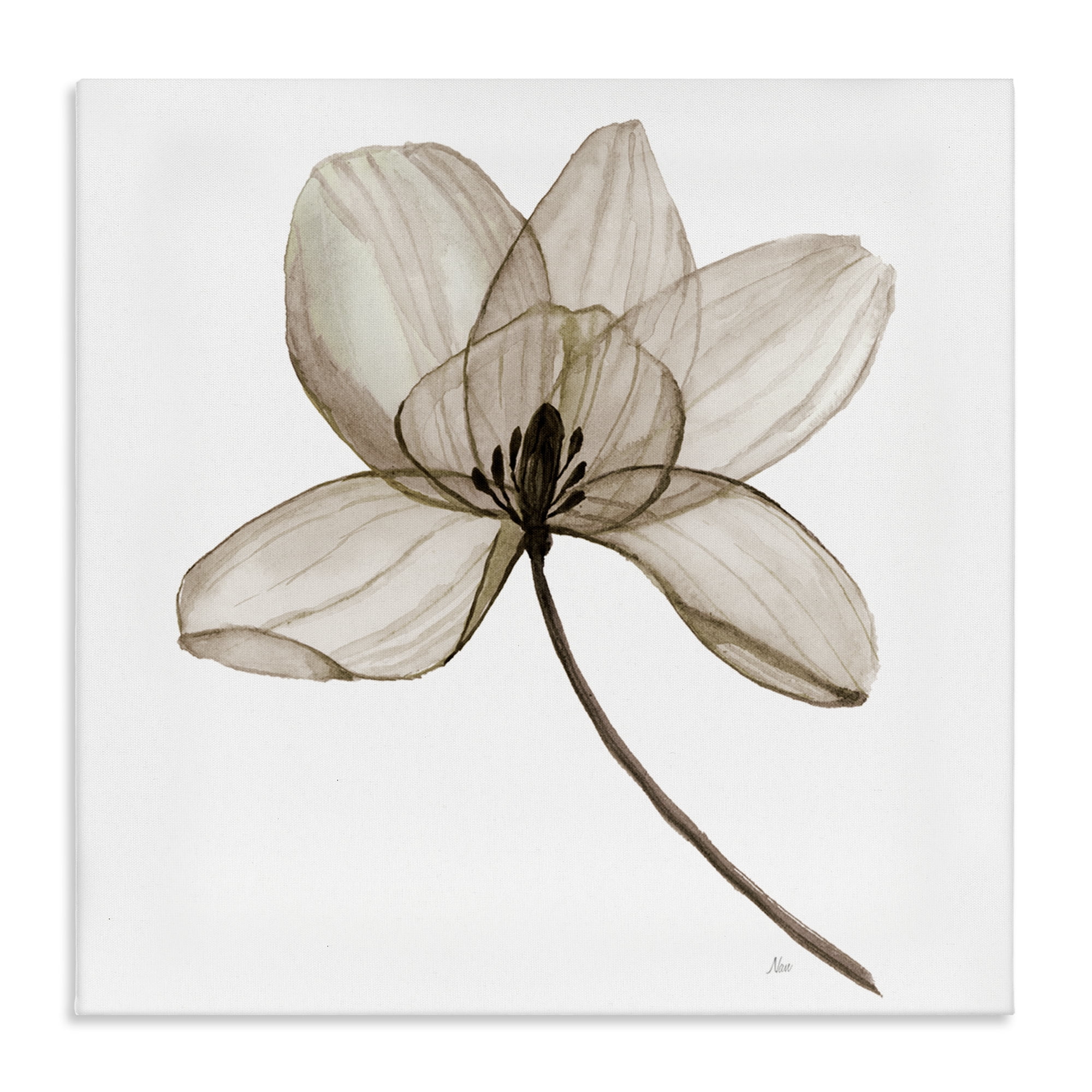 Stupell Industries Beige Opaque Blossom Plants & Flowers Painting Wrapped Canvas Art Print Wall Art, 24 x 24