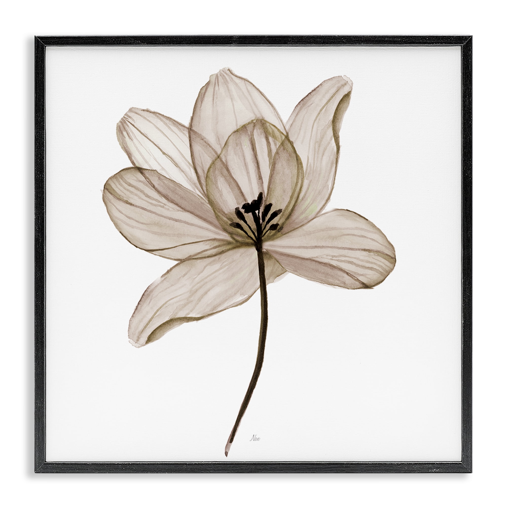 Stupell Industries Beige Opaque Flower Plants & Flowers Painting Black Framed Art Print Wall Art, 24 x 24