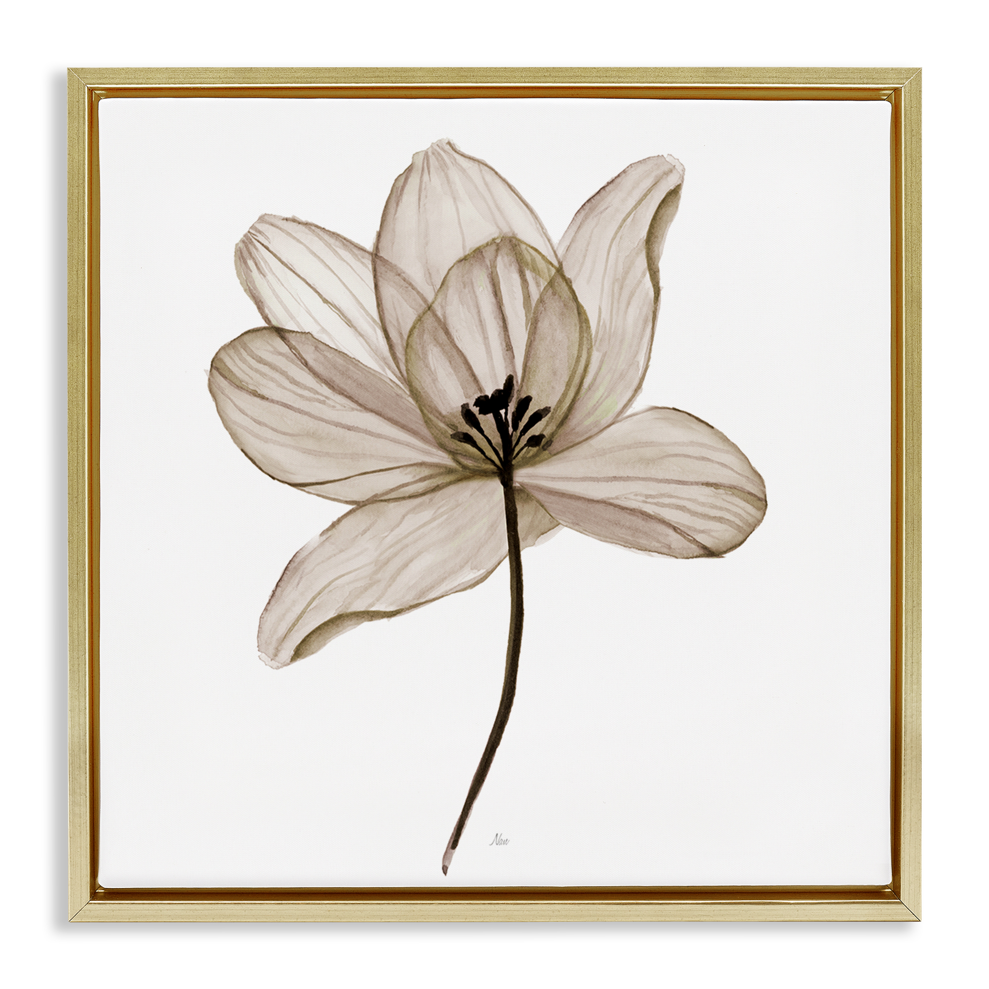 Stupell Industries Beige Opaque Flower Plants & Flowers Painting Gold Floater Framed Canvas Art Print Wall Art, 18 x 18