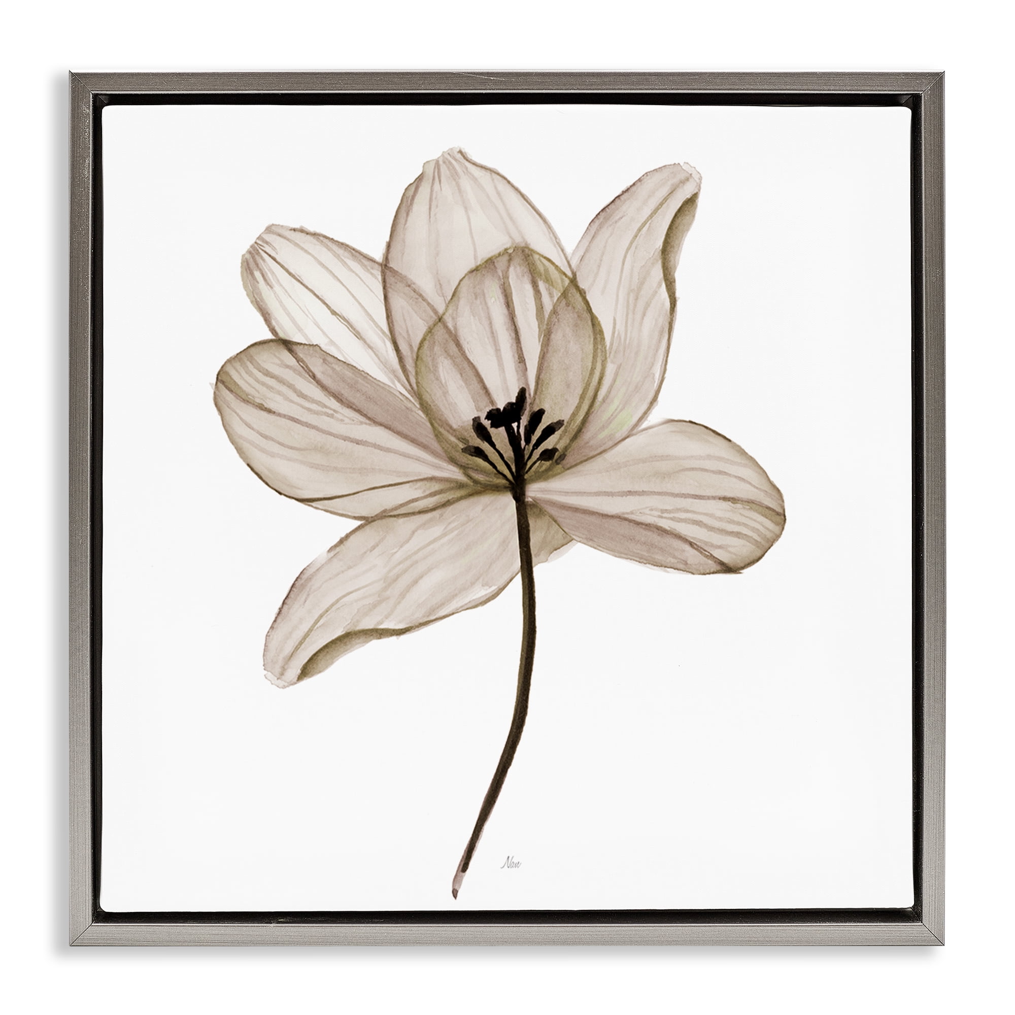 Stupell Industries Beige Opaque Flower Plants & Flowers Painting Gray Floater Framed Canvas Art Print Wall Art, 25 x 25
